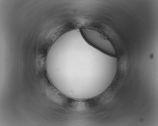 X0000116260276200912211743