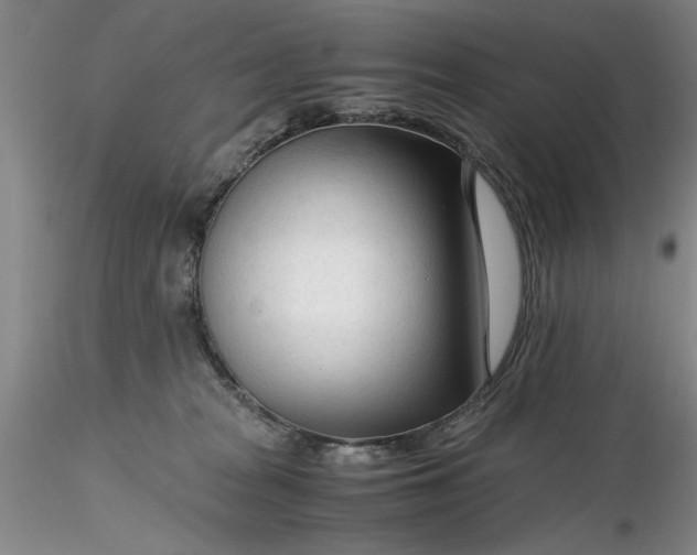 X0000116260277200912211743