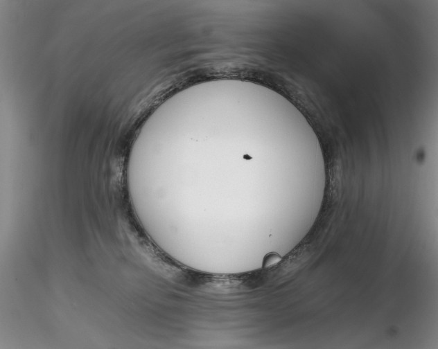 X0000116260278200912211743