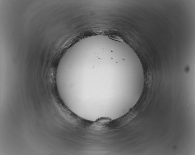 X0000116260280200912211743