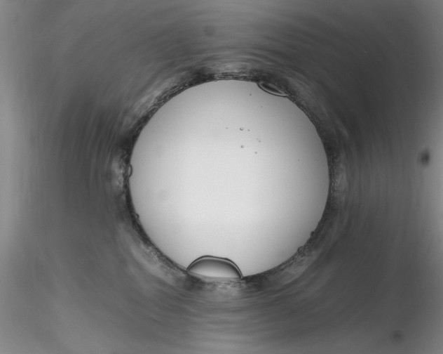 X0000116260282200912211743