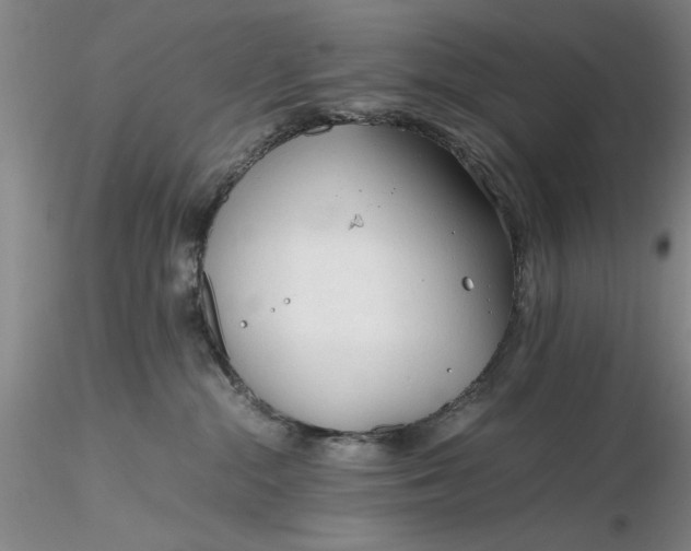 X0000116260284200912211743