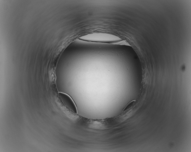 X0000116260285200912211743