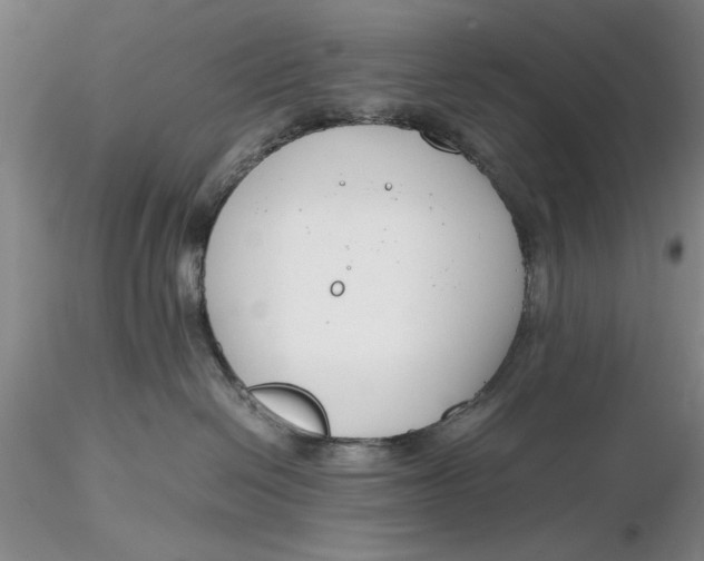 X0000116260286200912211743