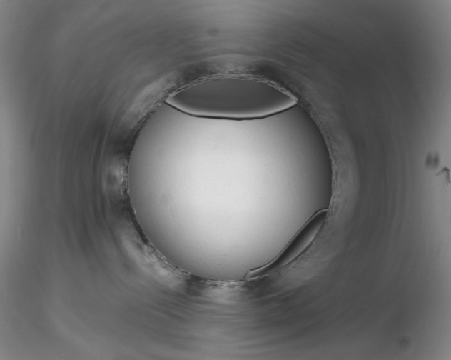 X0000116260288200912211743