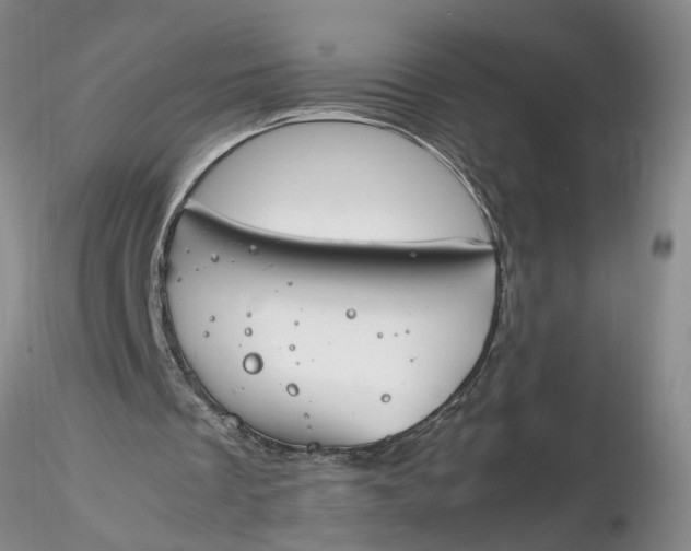 X0000116260289200912211742