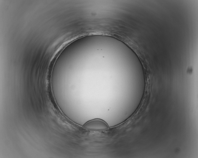 X0000116260290200912211742
