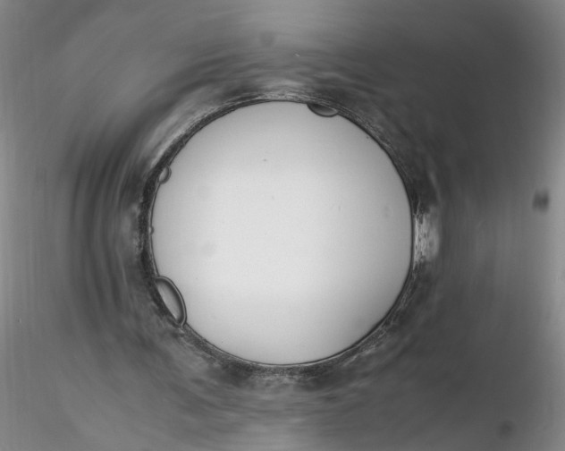 X0000116260291200912211742