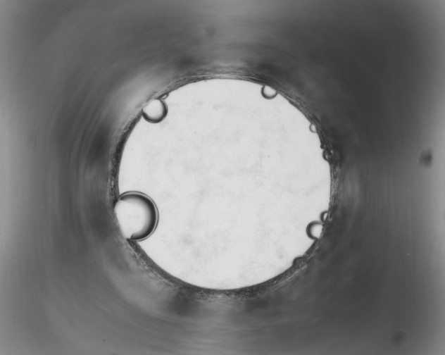 X0000116260293200912211742