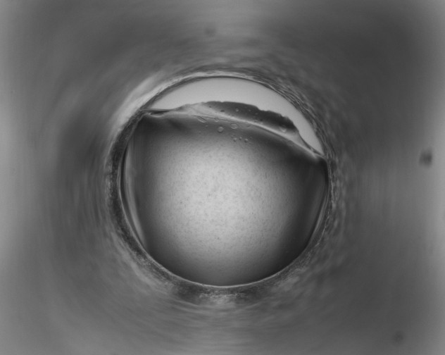 X0000116260295200912211742