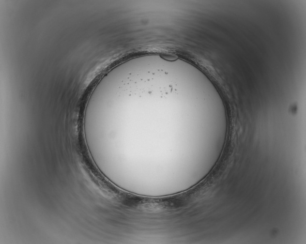 X0000116260299200912211742