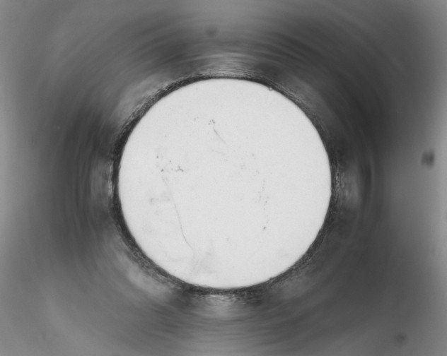 X0000116260302200912211742
