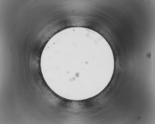 X0000116260305200912211742