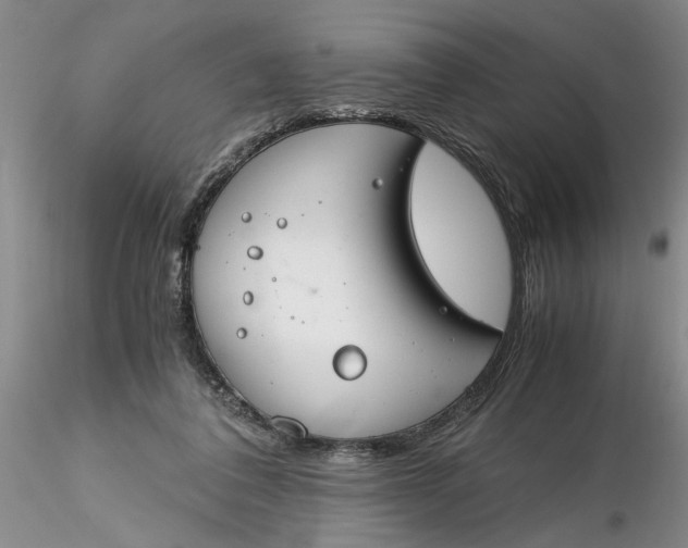 X0000116260308200912211742