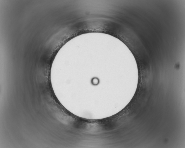 X0000116260309200912211742