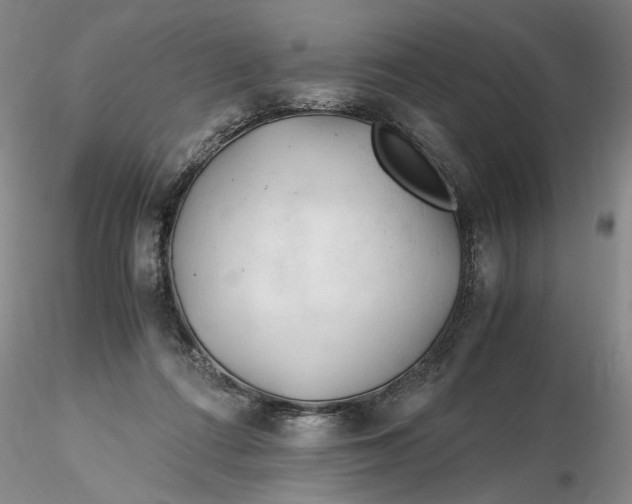 X0000116260312200912211742