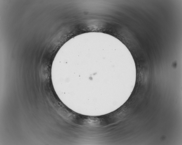X0000116260317200912211742