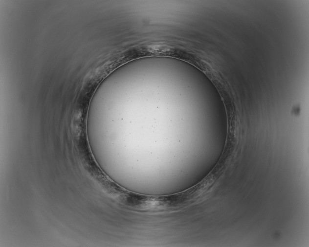 X0000116260319200912211742