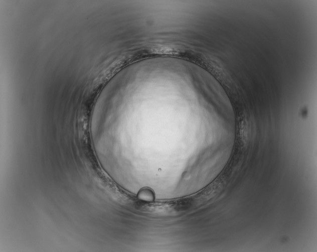 X0000116260322200912211742