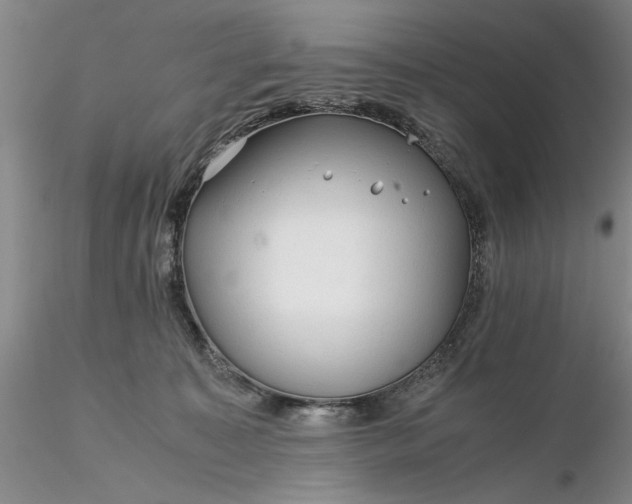 X0000116260323200912211742