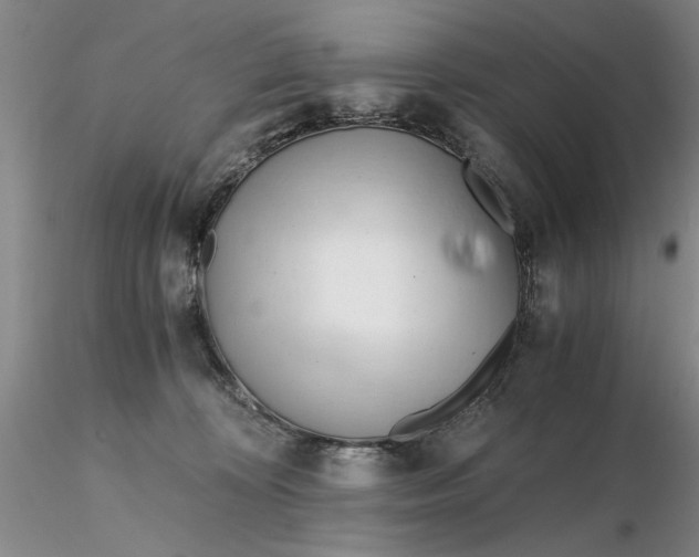 X0000116260324200912211742