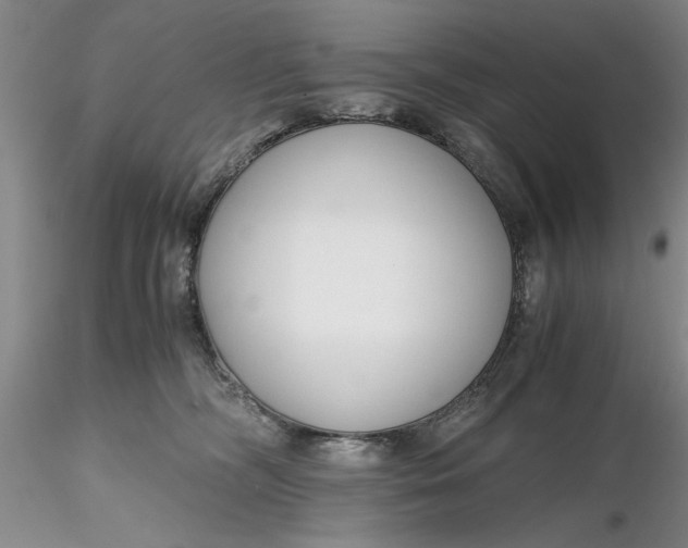 X0000116260326200912211742