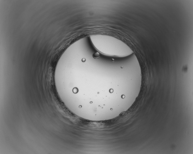 X0000116260328200912211742