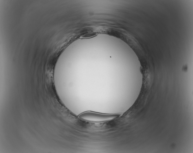 X0000116260329200912211742