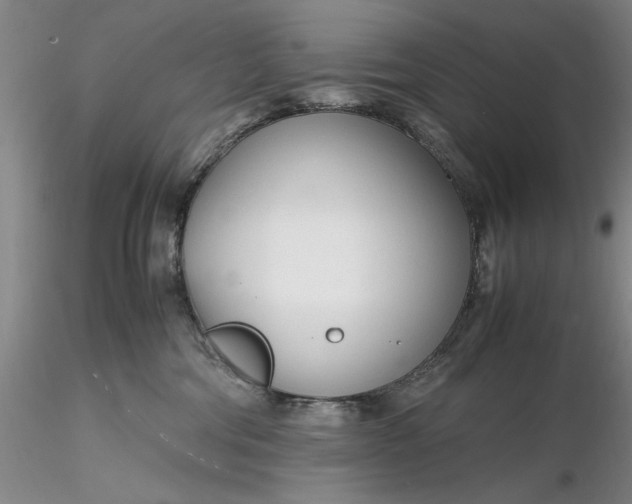 X0000116260330200912211742