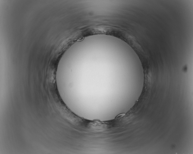 X0000116260331200912211742
