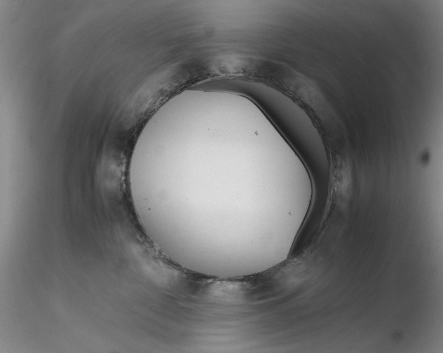 X0000116260332200912211741