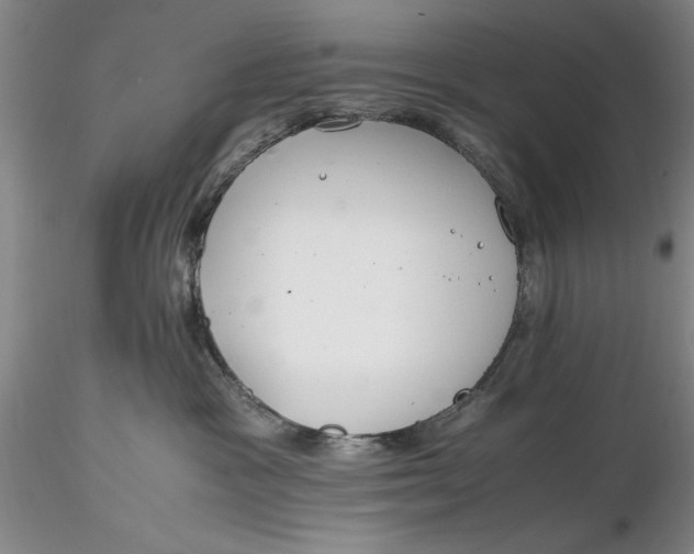 X0000116260333200912211741