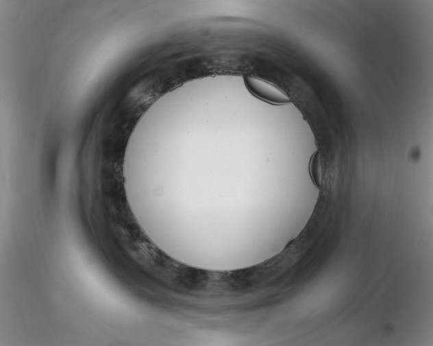 X0000116260335200912211741