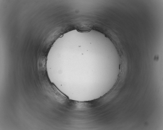 X0000116260336200912211741
