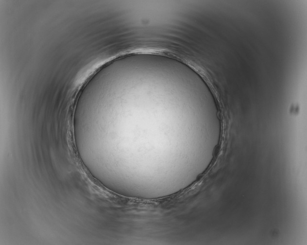 X0000116260337200912211741
