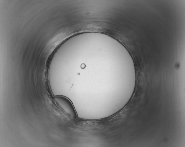X0000116260338200912211741