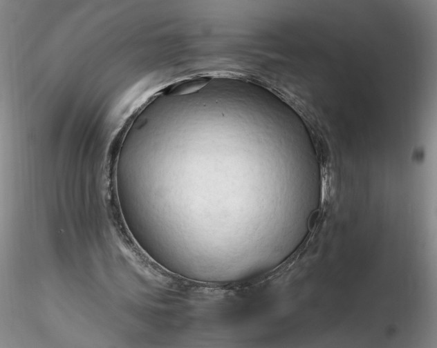 X0000116260339200912211741