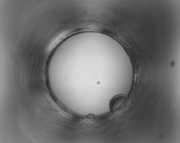 X0000116260341200912211741
