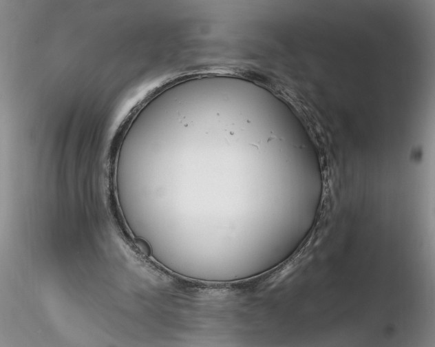 X0000116260342200912211741