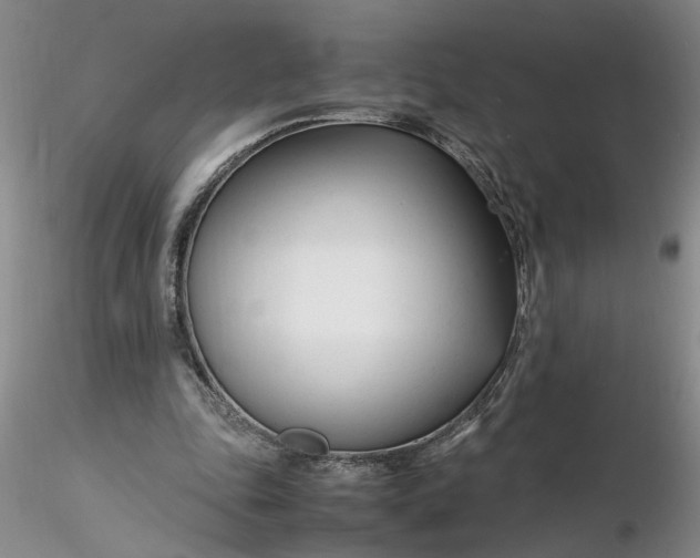 X0000116260343200912211741