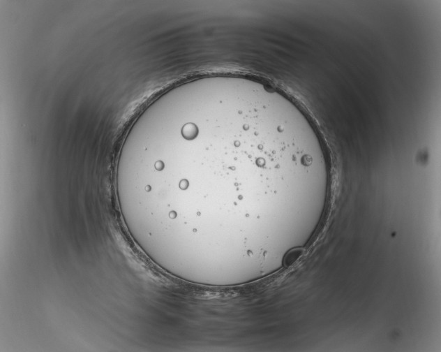 X0000116260345200912211741