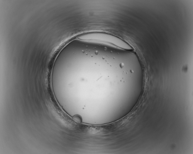 X0000116260346200912211741