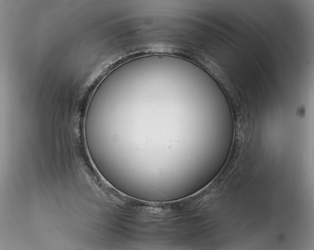 X0000116260347200912211741