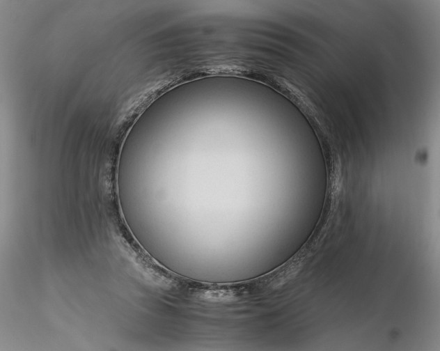 X0000116260353200912211741