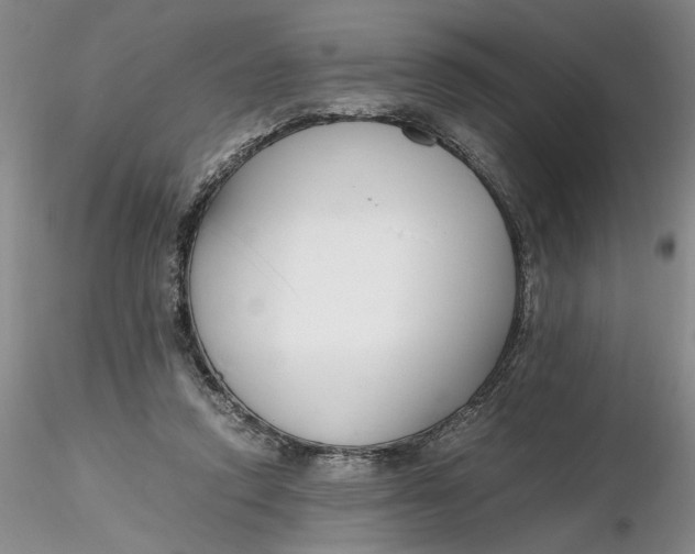 X0000116260354200912211741