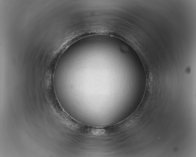 X0000116260355200912211741