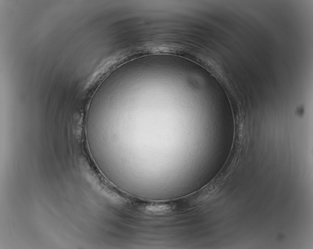 X0000116260357200912211741