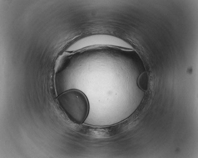 X0000116260359200912211741