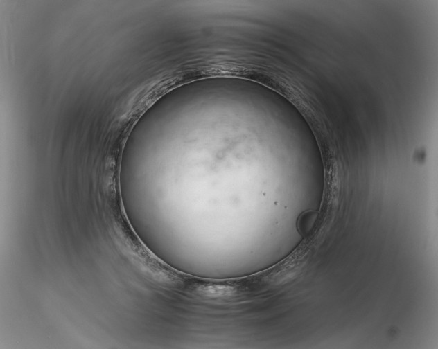 X0000116260361200912211741