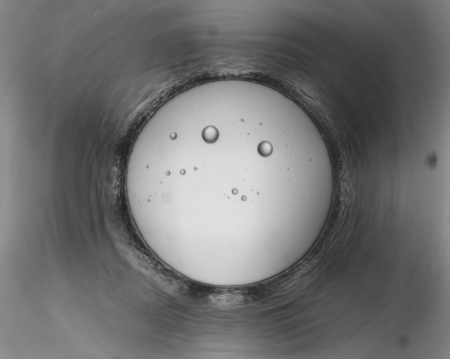 X0000116260362200912211741